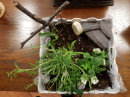 Easter Cross 2017 (Minature Garden)